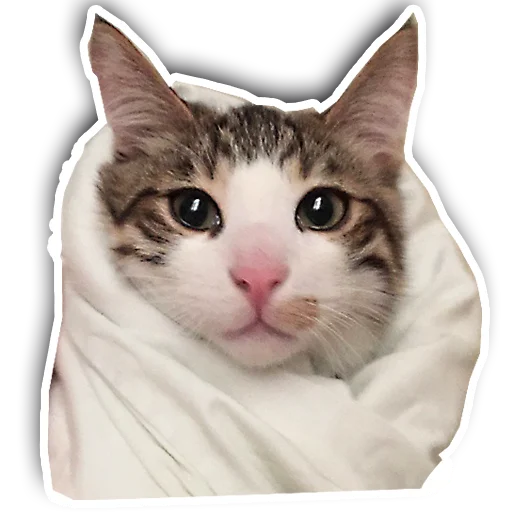 🌝