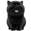 Стикер Угрюмый кот