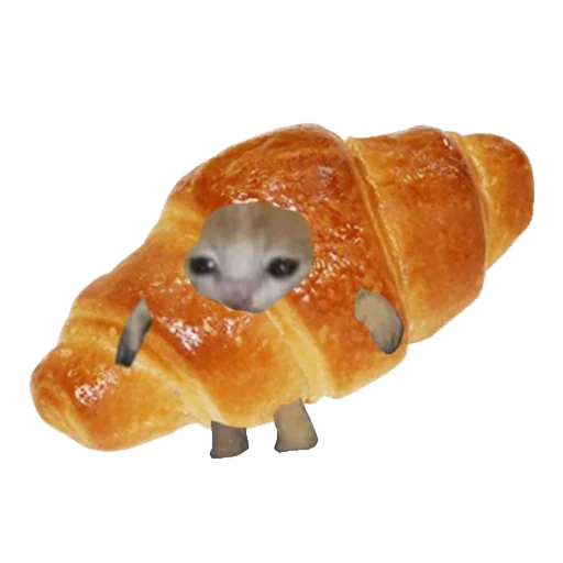 Стикер Типо коты еда