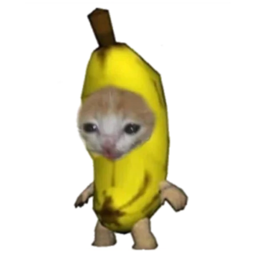 Стикер Типо коты еда