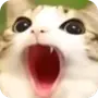 Эмодзи Мяовл