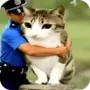 Эмодзи Мяовл