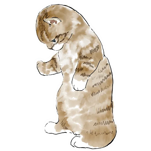 Стикер Кошачий чат 2