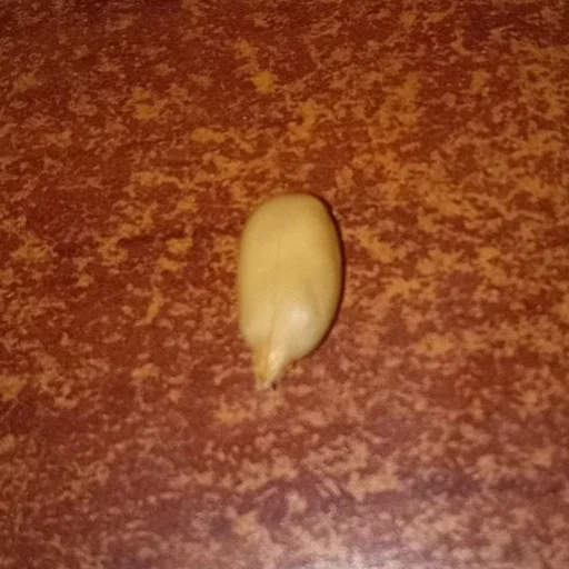 Стикер Слава семочному союзу