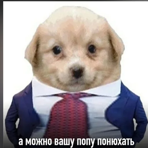 Стикер Memes | Мемы