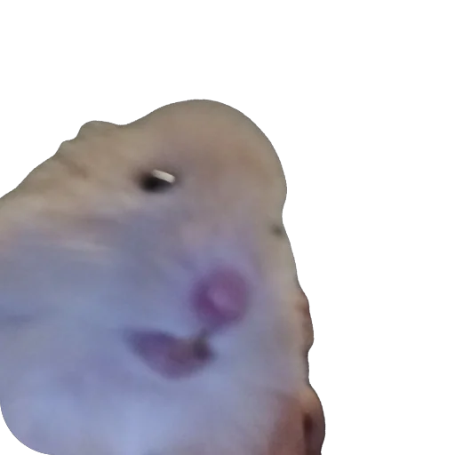 Стикер Хомяк Личи