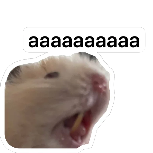 Стикер Хомяк Личи