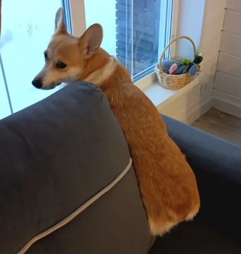 Стикер Рыжие глупости