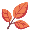 🍂