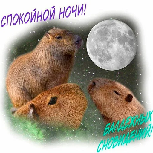 Стикер Capybara's world