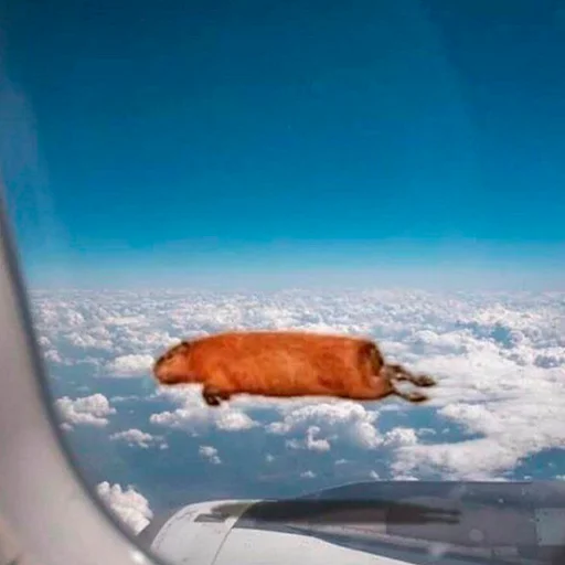 Стикер Capybara's world