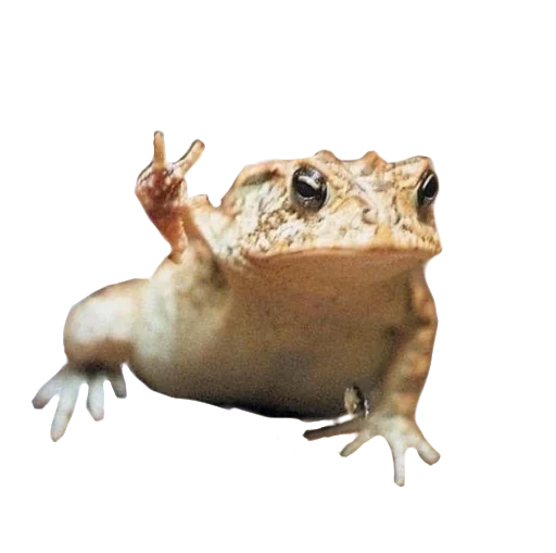 Стикер чай с молоком