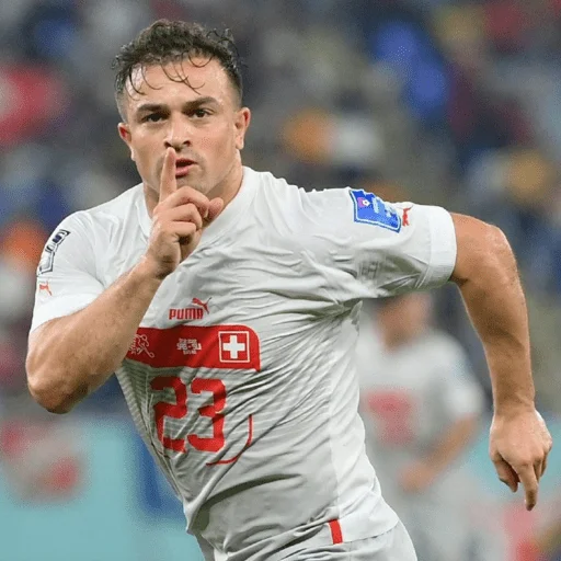 Стикер World Cup 22