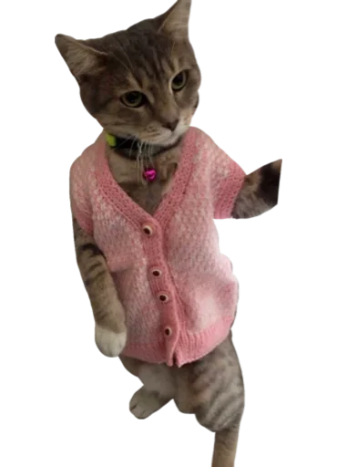 Стикер Cute_vol.3