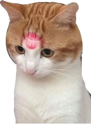 Стикер Cute_vol.3