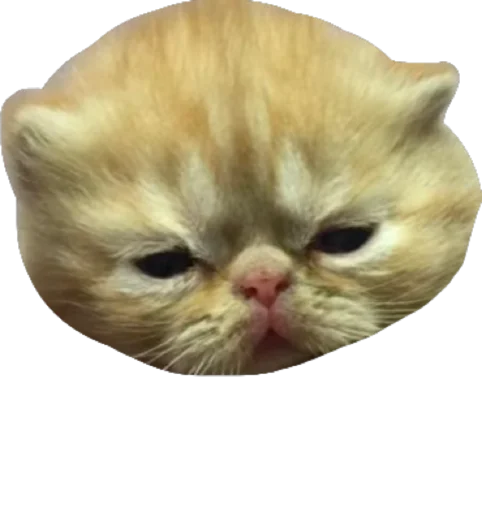 Стикер Cute_vol.3