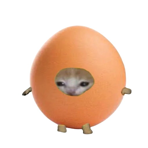 Стикер Catzzz!