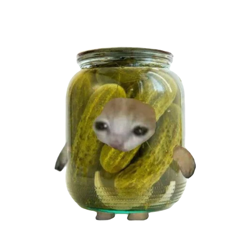 Стикер Catzzz!