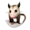 Стикер Cute Opossum