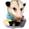 Стикер Cute Opossum