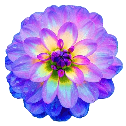 Стикер Flowers for you