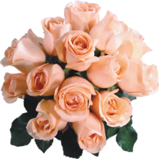 Стикер Цветы 2