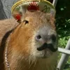 Эмодзи Capybaras / капибары