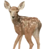 Эмодзи Deers