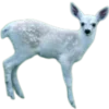 Эмодзи Deers