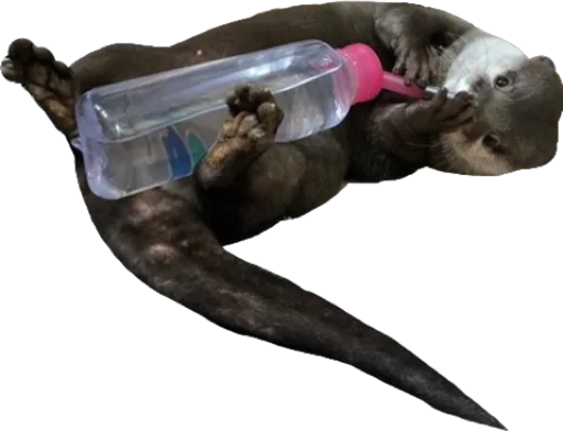 Стикер Devilovee