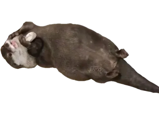 Стикер Devilovee