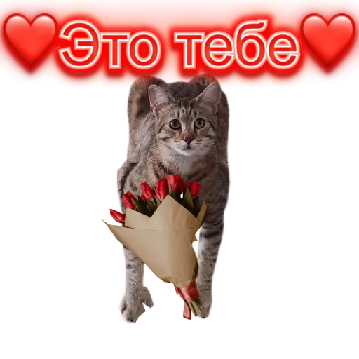 Стикер DIXIEEE