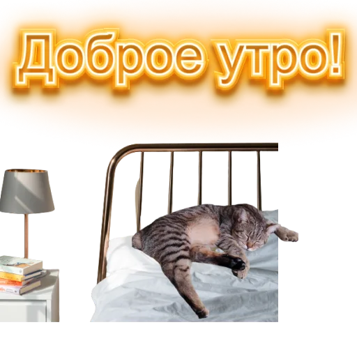 Стикер DIXIEEE