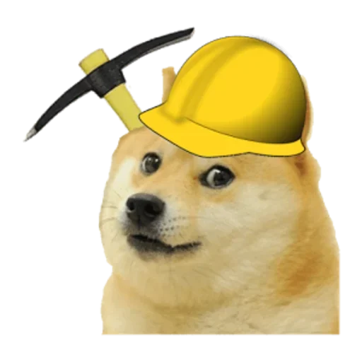 Стикер DogCoin