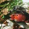Стикер Ducky Dolly
