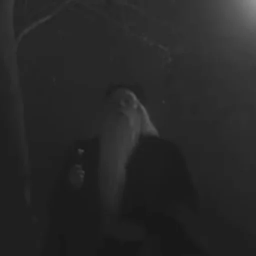 Стикер Откровения Дамблдора