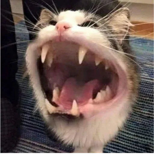 Стикер 2мб ярости