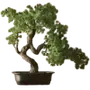 Эмодзи aesthetic