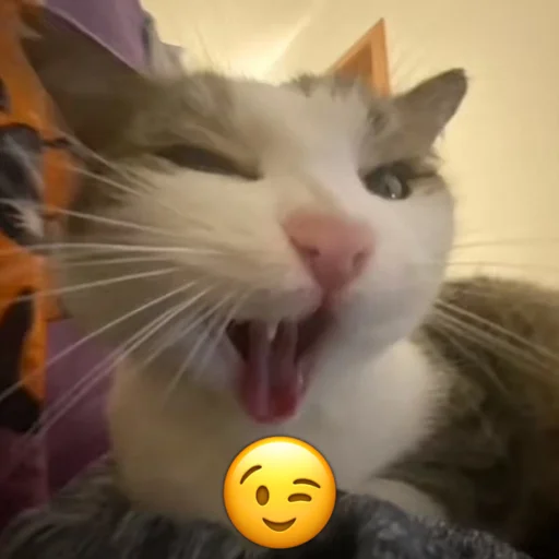 😉