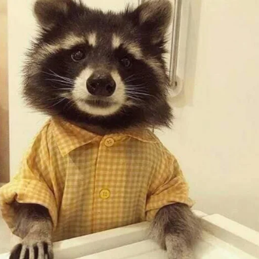 Стикер Енотики