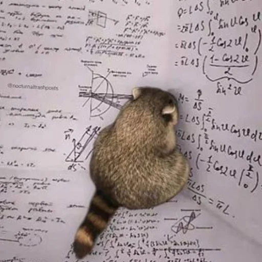 Стикер Еноты