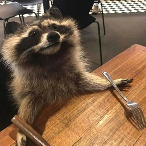 Стикер Еноты