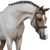 Эмодзи Equestrian