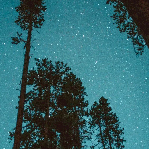 Стикер Эстетика