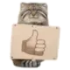 Стикер Everyday Manul
