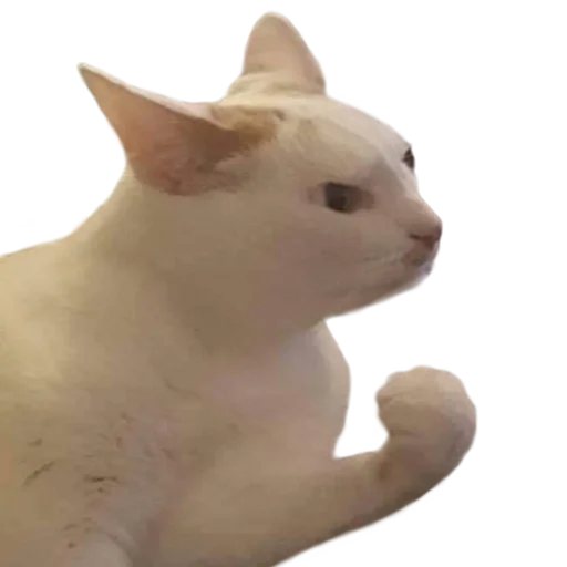 Стикер Facchia