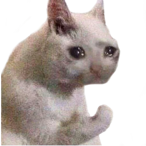 Стикер Facchia