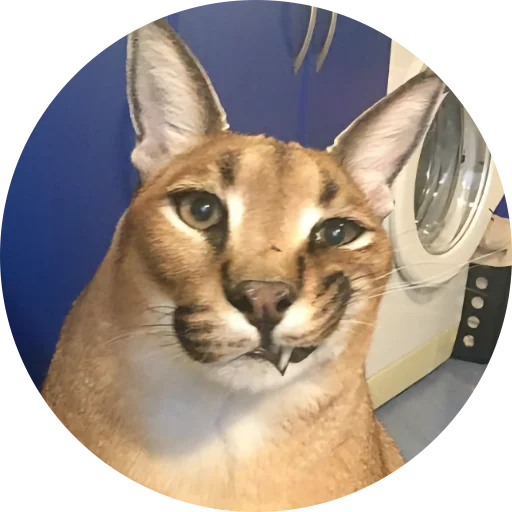 Стикер Fake Circle