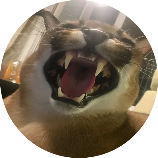 Стикер Fake Circle