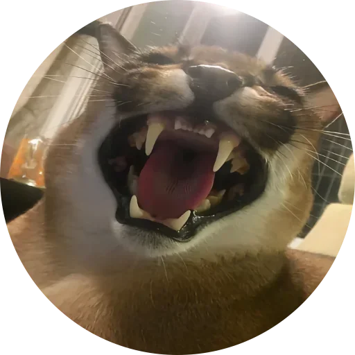 Стикер Fake Circle